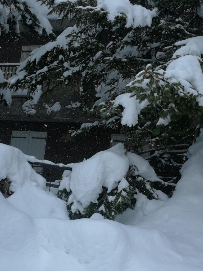 リヴィゾンドリCasa Vittoriaアパートメント エクステリア 写真